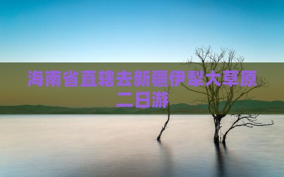 海南省直辖去新疆伊犁大草原二日游