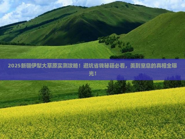 滁州去新疆伊犁大草原景点