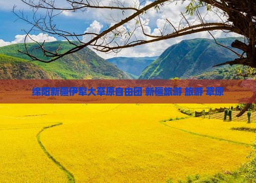 绵阳到新疆伊犁大草原自由团