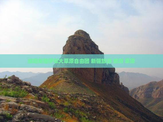 绵阳到新疆伊犁大草原自由团