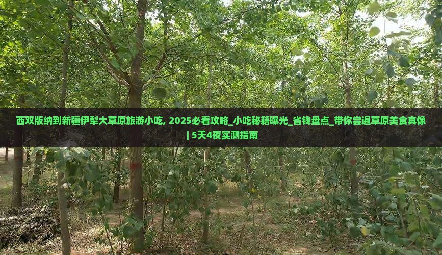西双版纳到新疆伊犁大草原旅游小吃