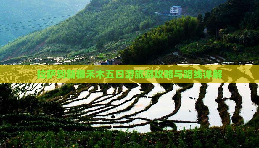 拉萨到新疆禾木五日游