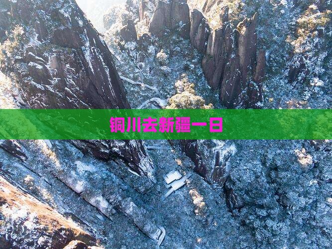 铜川去新疆一日
