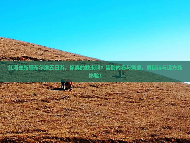 红河去新疆布尔津五日游