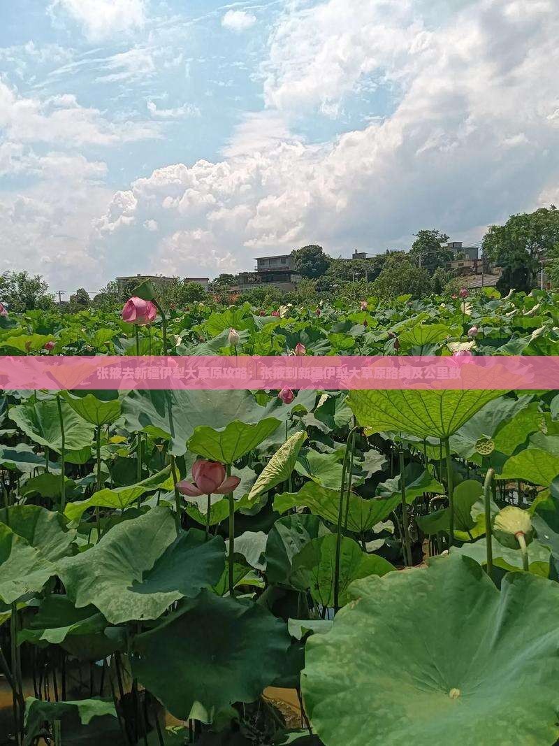 张掖去新疆伊犁大草原攻略