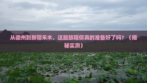 德州去新疆禾木攻略