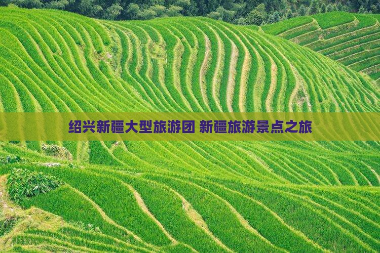 绍兴去新疆大型旅游团