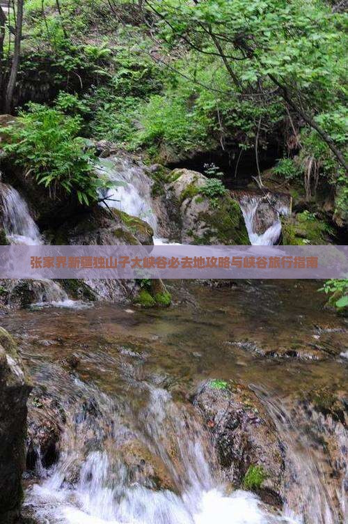 张家界去新疆独山子大峡谷必去地