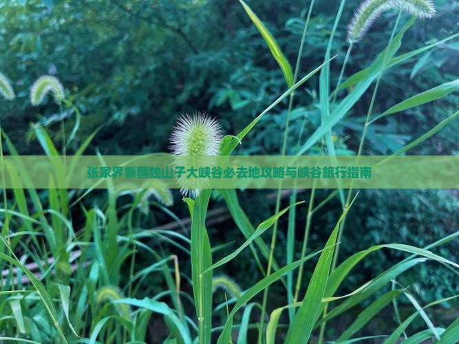 张家界去新疆独山子大峡谷必去地
