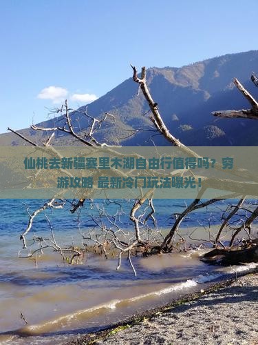 仙桃去新疆赛里木湖自由行