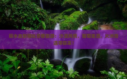 丽水去新疆吐鲁番旅游
