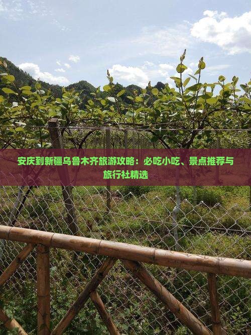 安庆到新疆乌鲁木齐旅游小吃