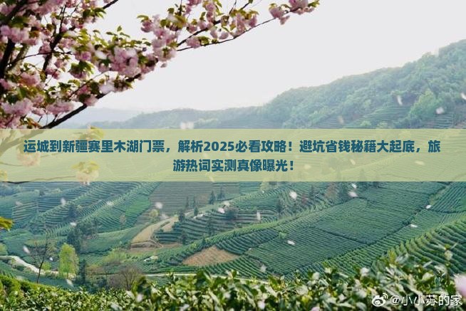 运城到新疆赛里木湖门票