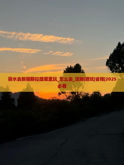 丽水去新疆那拉提哪里玩