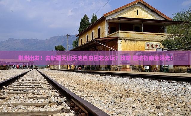 荆州去新疆天山天池自由团