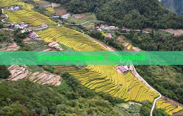 金华去新疆那拉提自由行