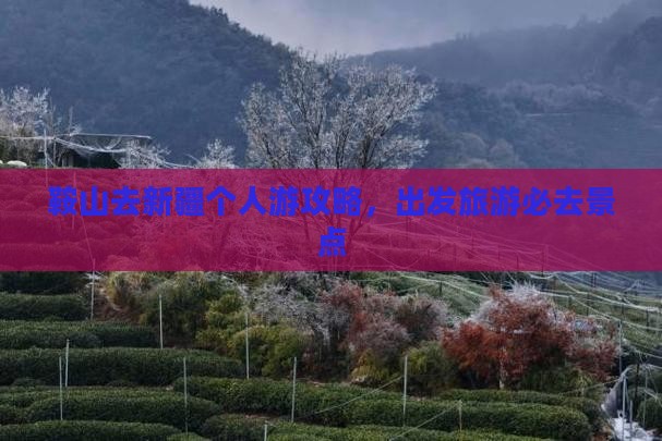 鞍山去新疆个人游