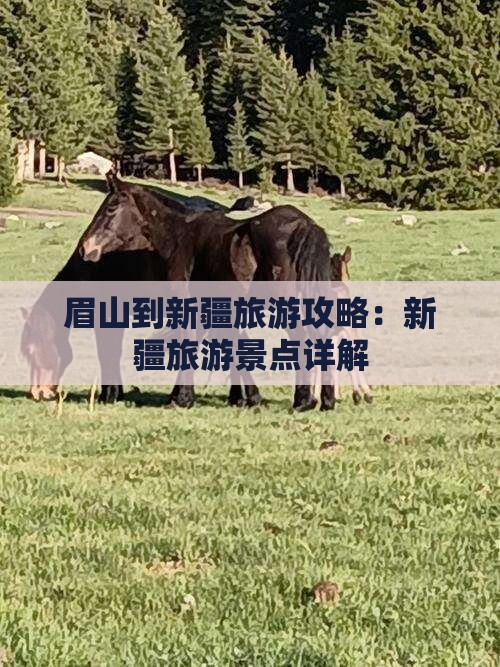 眉山到新疆自由团