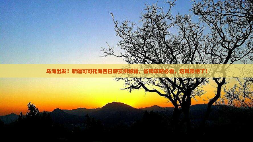 乌海到新疆可可托海四日游