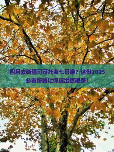 四月去新疆可可托海七日游