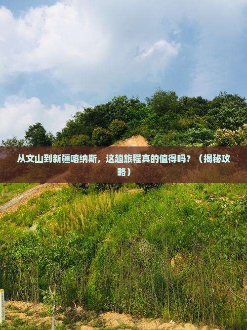 文山到新疆喀纳斯攻略