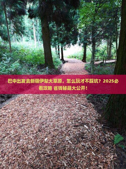 巴中去新疆伊犁大草原哪里玩