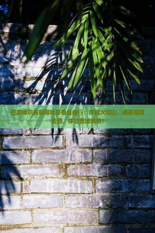巴彦倬尔去新疆吐鲁番自由行