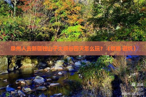泉州去新疆独山子大峡谷四日游