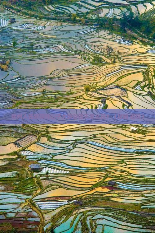 泉州去新疆独山子大峡谷四日游