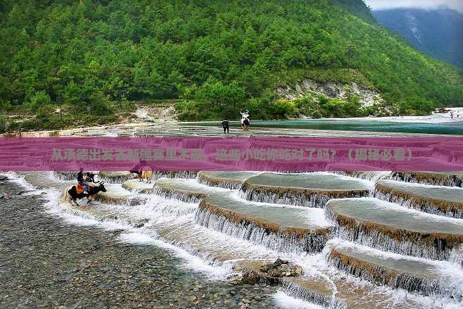 承德去新疆赛里木湖旅游小吃