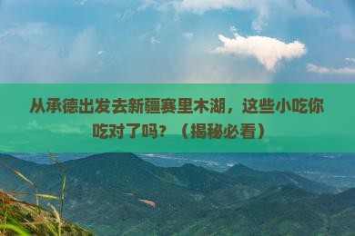 承德去新疆赛里木湖旅游小吃