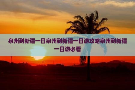 泉州到新疆一日