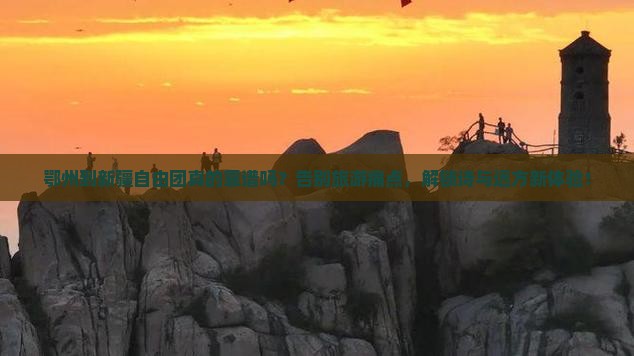 鄂州到新疆自由团