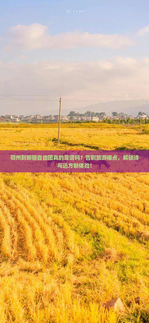 鄂州到新疆自由团