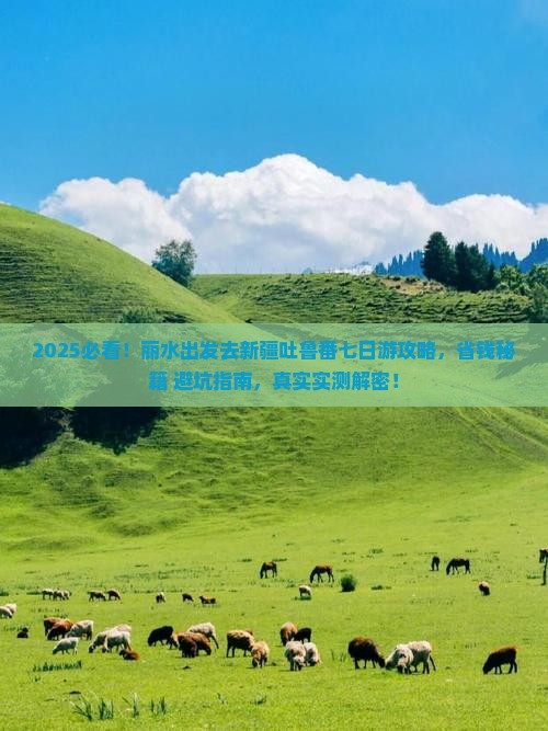 丽水去新疆吐鲁番七日游