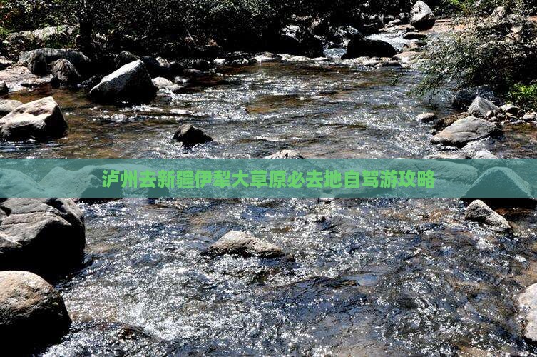 泸州去新疆伊犁大草原必去地