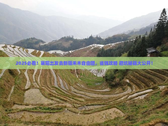 襄阳去新疆禾木自由团