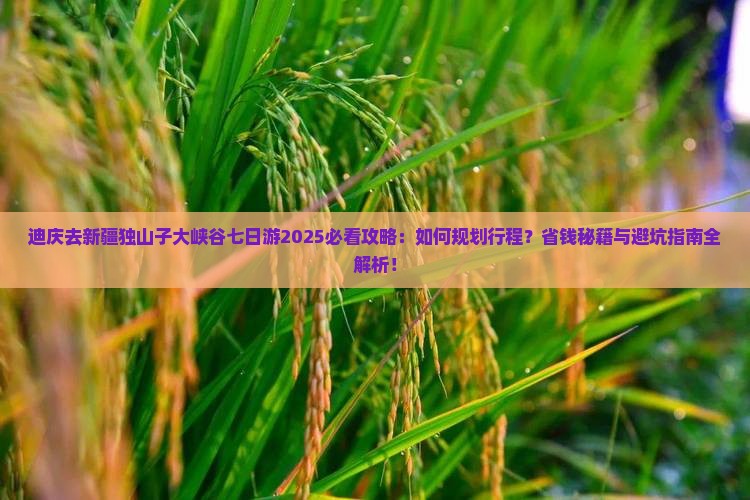迪庆去新疆独山子大峡谷七日游