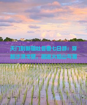 天门到新疆吐鲁番七日游