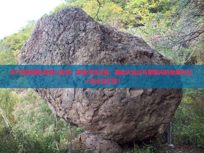 天门到新疆吐鲁番七日游