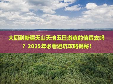 大同到新疆天山天池五日游