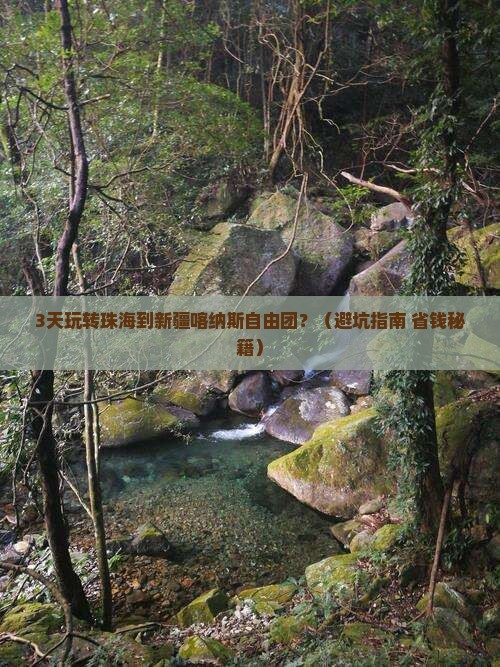 珠海到新疆喀纳斯自由团