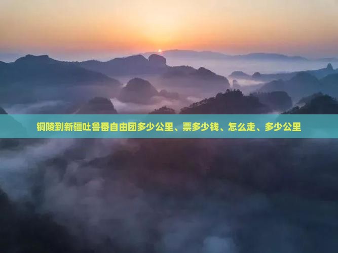 铜陵到新疆吐鲁番自由团