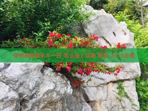 忻州到新疆禾木一日