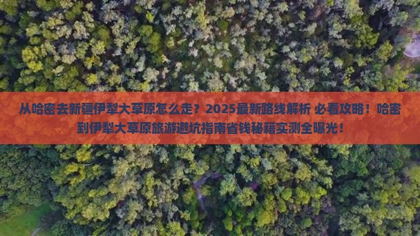 哈密去新疆伊犁大草原旅游