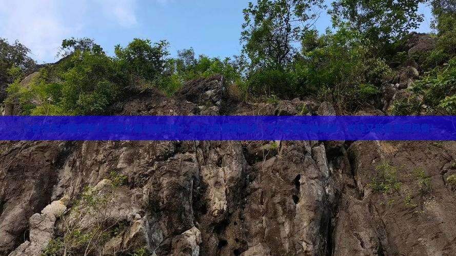 七台河去新疆伊犁大草原旅游小吃
