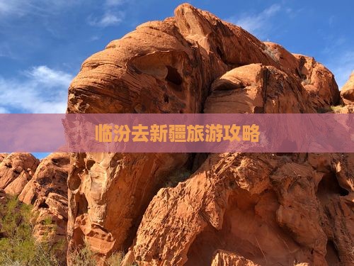 临汾去新疆旅游