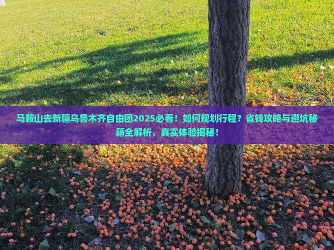 马鞍山去新疆乌鲁木齐自由团