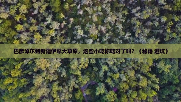 巴彦淖尔到新疆伊犁大草原旅游小吃