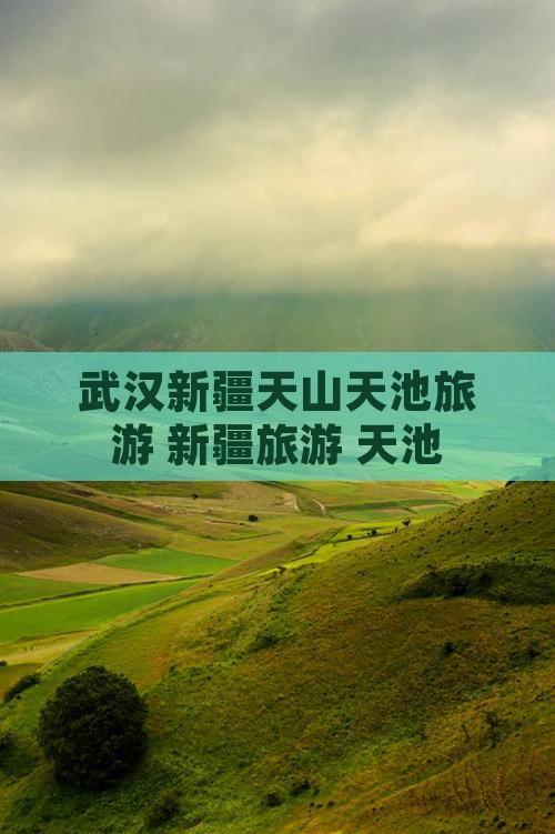 武汉去新疆天山天池团体旅游